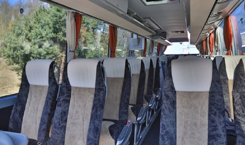 Hungary: Coach charter in Pest in Pest and Pécel